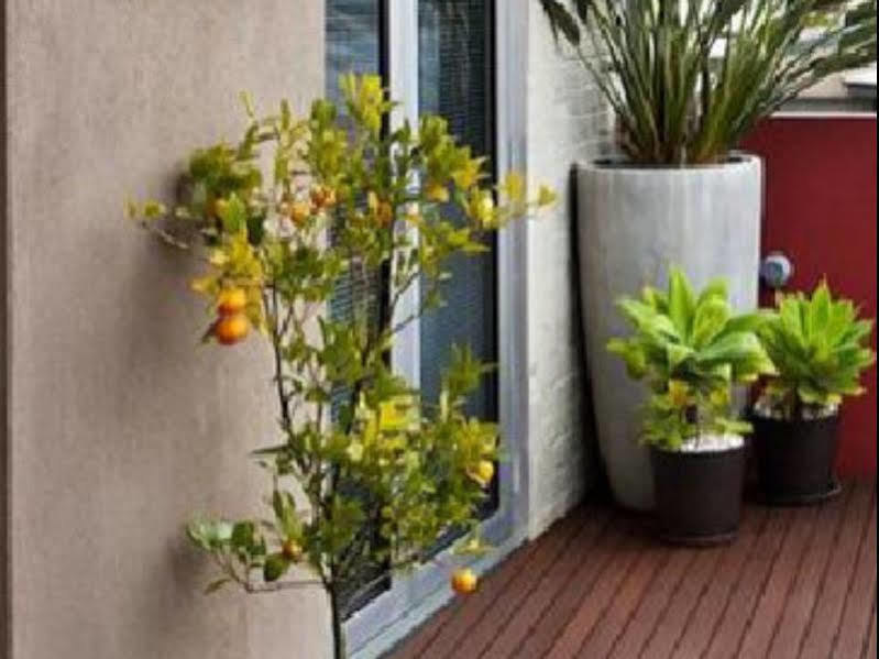 Twofourtwo Boutique Apartments Launceston Bagian luar foto